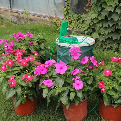 Система крапельного поливу кімнатних рослин з таймером, Aqualin YL22018, 100833